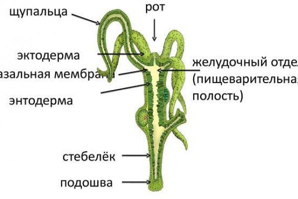 Kra14.cc
