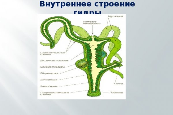 Как пополнить кракен